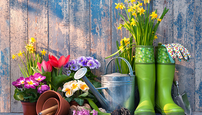 Gardening Blogs UK Top 10 | Vuelio