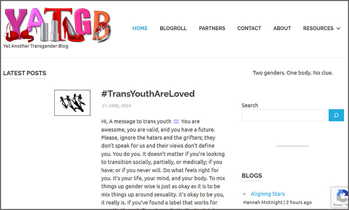 Not Another Transgender Blog